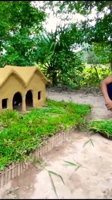 Orphan Hamster And Build House #shorts #short #youtube #youtubeshorts #diy #dog #shortsfeed #craft
