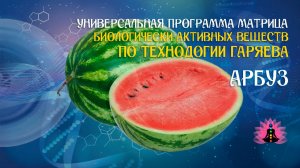 Арбуз 🔊 программа матрица по технологии Гаряева П.П ☀️ SoftRadio.ru