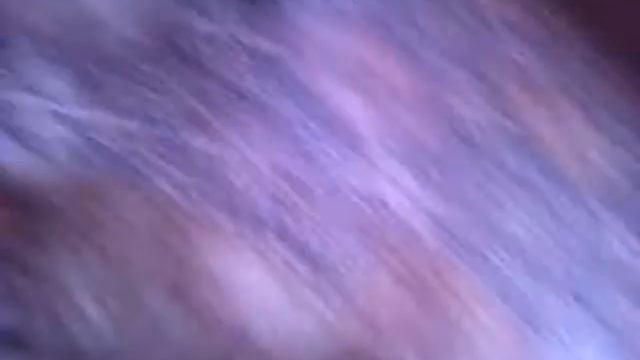 Как пончик умывается утром.