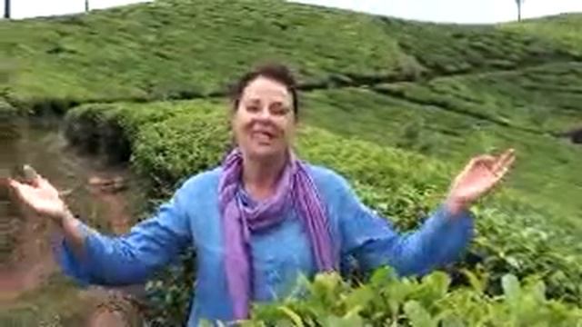 Thank You Nourish Tea! Sipping Tea In India, Christine Aquin Pope Canadian Keynote Speaker