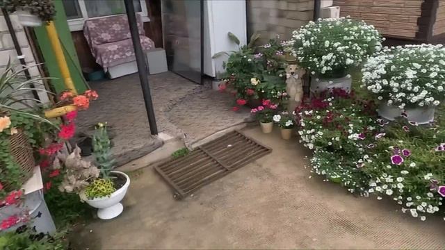 СЕНТЯБРЬ НА ДВОРЕ,А В НЁМ ТАК РАСИВО.... смотреть онлайн