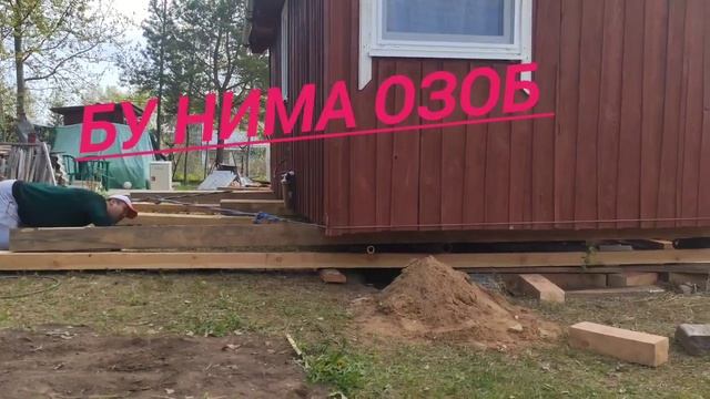 бунга каранг