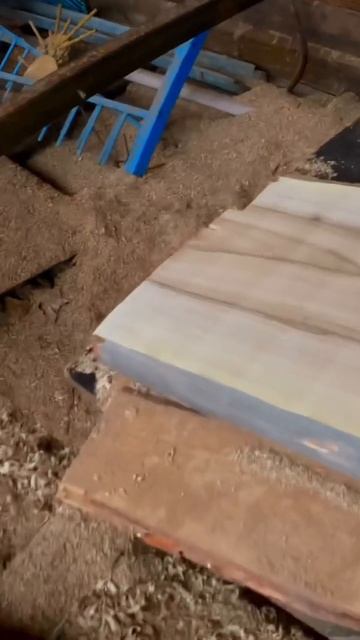 Текстура грецкого ореха 😎 смотреть онлайн