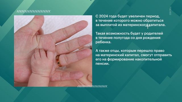 ВОЗВРАТ УКРАДЕННЫХ МОШЕННИКАМИ ДЕНЕГ, УБОРКА СНЕГА В КВИТАНЦИЯХ ЖКХ | Новости НК от 21 января смотреть онлайн