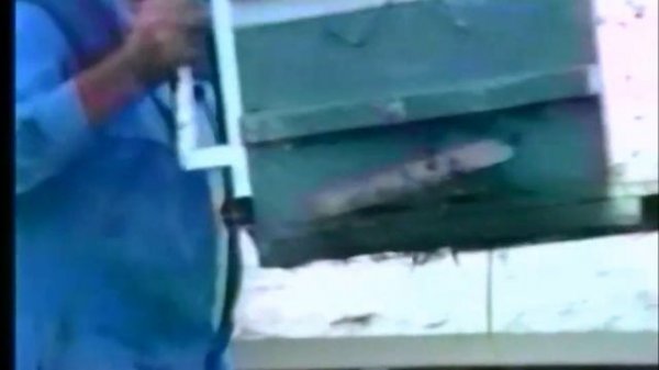 EZYLOADER - M & K Stafford Engineering Pty Ltd