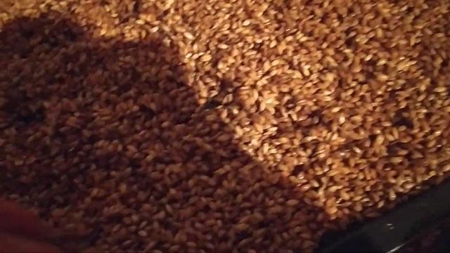 Бидай ондирудин тагы бир сырын ашып, бауырларыммен болисуге асыгып. 🤲🤲🤲🤲🤲