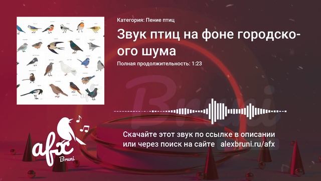 Звук: Звук птиц на фоне городского шума смотреть онлайн