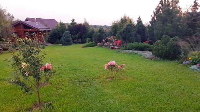 Наш сад осень 2023 смотреть онлайн