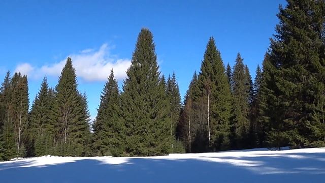 Прогулка по гололёду 14.03.23г.
