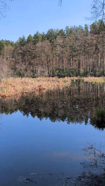 Лягушачье озеро #Таврово смотреть онлайн