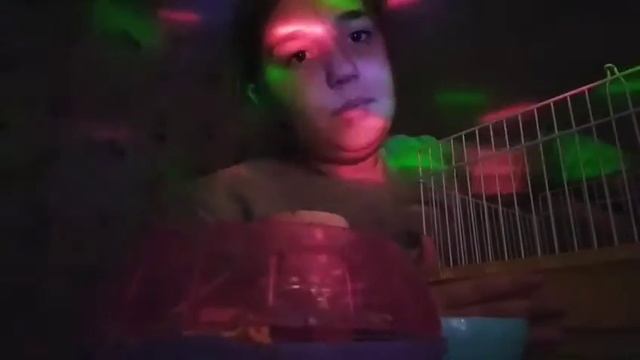 уборка в клетке хомяка Маши смотреть онлайн