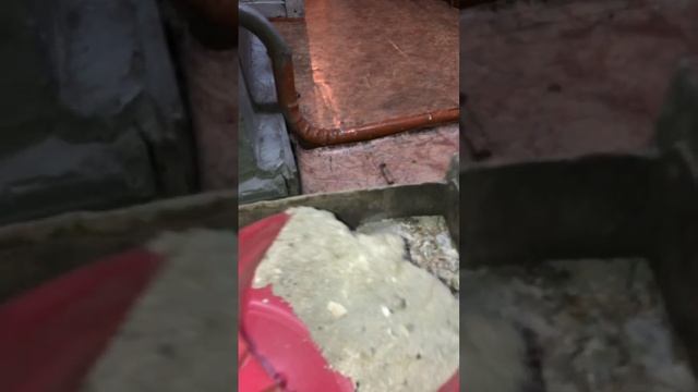 Вечерняя топка #деревня #дрова #село #печь #казахстан