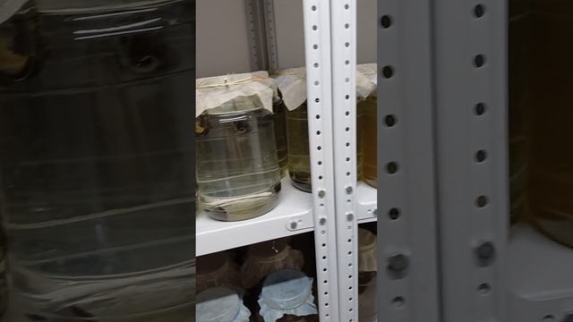 16 июня 2024 г.