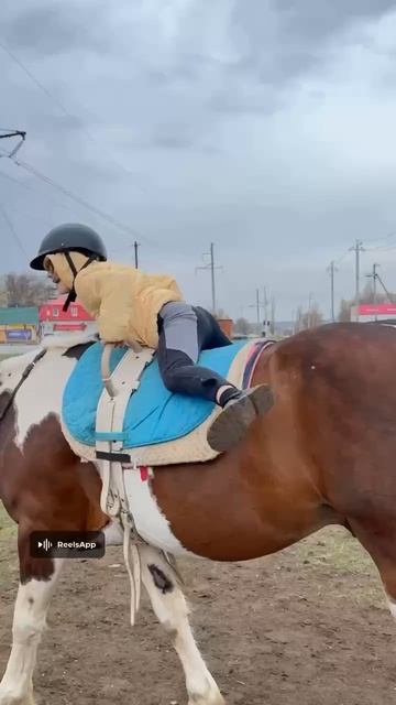 сложная тренировка. вольтижировка