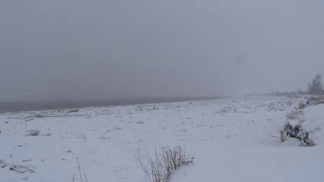 Сюрпризы природы 20.04.2025 смотреть онлайн