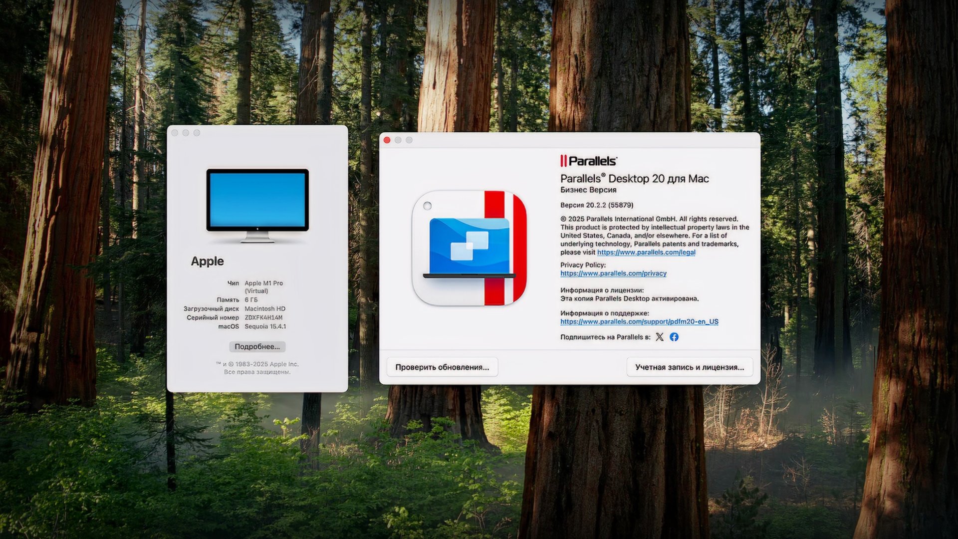Установка Parallels Desktop 20 на MacOS в России смотреть онлайн