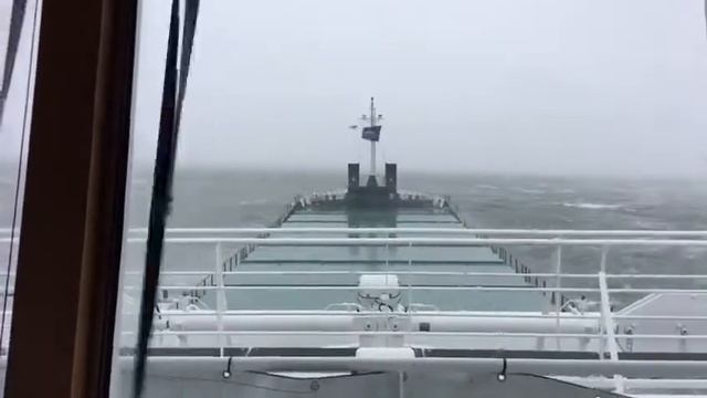 Arklow Venus смотреть онлайн