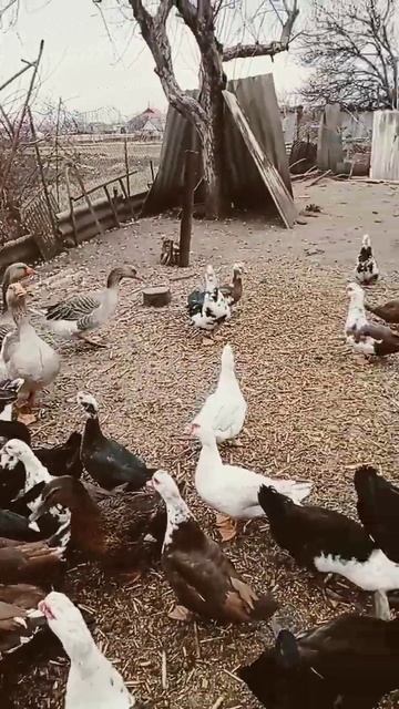 21 декабря 2022 г. смотреть онлайн