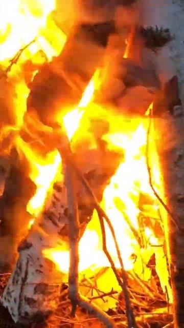 🪵КАК ЛЕГКО РАЗЖЕЧЬ МОКРЫЕ ДРОВА, В СЫРОМ ЛЕСУ !! 🪵