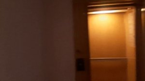 Очень шумный лифт.