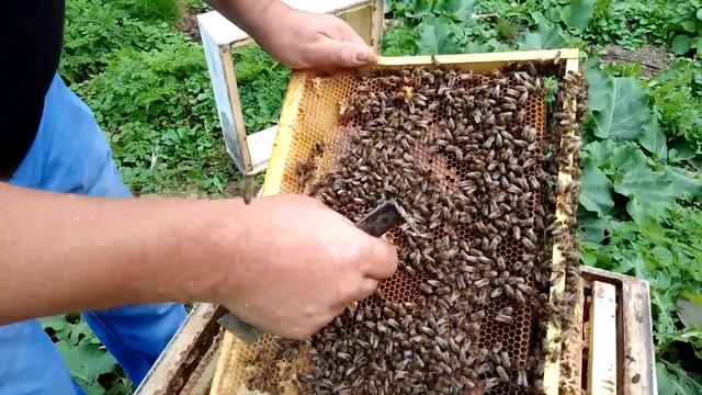 Оказывается не всё так и плохо, главное во время заглянуть)) смотреть онлайн