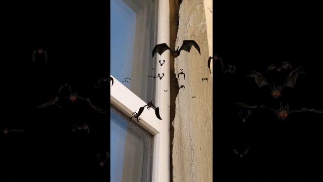 Окна ПВХ по недорогой цене смотреть онлайн