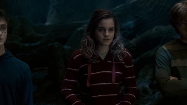 So Sollten Diese Gryffindor-Schüler Wirklich Aussehen!