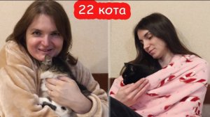 VLOG У нас 22 кота