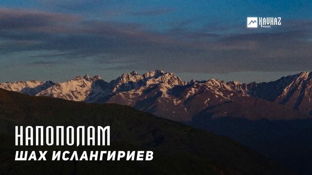 Шах Ислангириев - Напополам | KAVKAZ MUSIC CHECHNYA