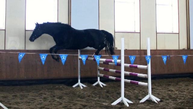 Беверли напрыгивание на свободе. ПРОДАНА! смотреть онлайн