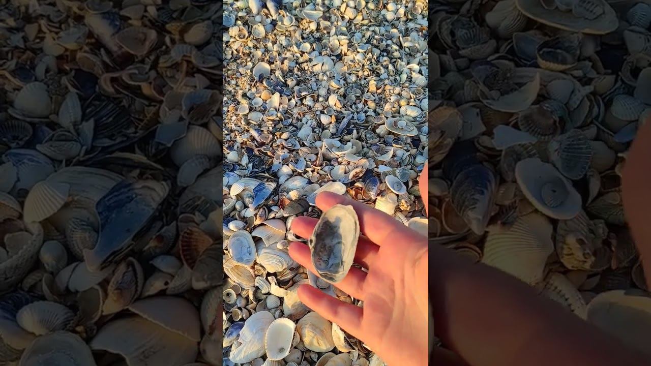 Азовское море. Должанская.