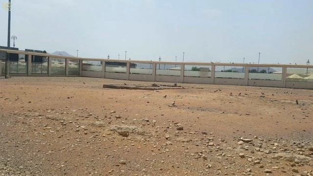 THE COMPANION: Hazrat Abdullah Bin Jahsh | Martyrs Of Battle Uhud | Ek Jabaz Sahabi