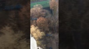 Сбрасываем пакеты с водой с 13 этажа😳✌️