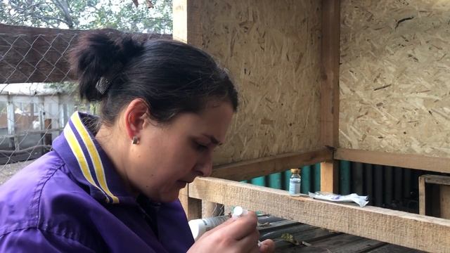 Очень рискуем, но необходимо это сделать!!!