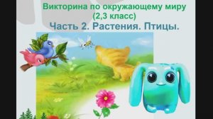 Викторина. Растения. Птицы. Часть 2. Квиз. Видео вопросы  по окружающему миру