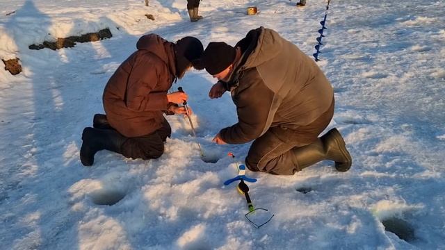 25 февраля 2022 г. смотреть онлайн