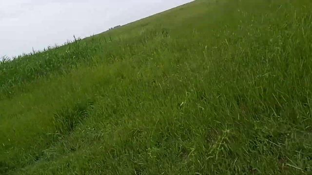 поход на фазана 4 часть