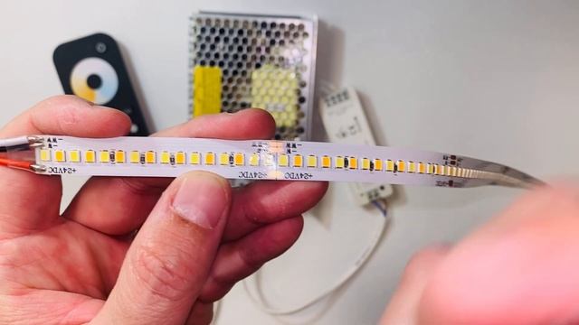 Come collegare un #dimmer Striscia LED Smart con Skydance V2 | Guida Completa al Dimmer 2CH e CCT смотреть онлайн