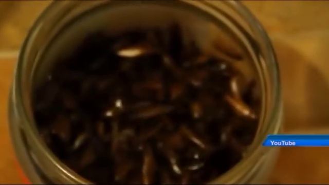 Новости МТРК 28.02.2020 смотреть онлайн