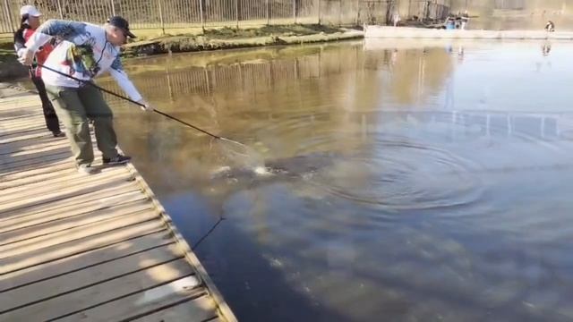 Поимки спорт зона смотреть онлайн