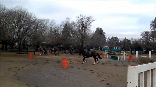 HCA Orion. 2004 bay stallion смотреть онлайн