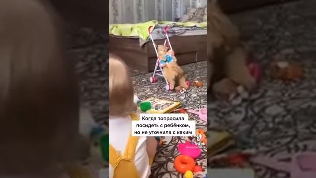 2 ребенок😻😻(кот) 😂😂подпишись😗😗😗😗пожалуйста!!!!! 😍😍😘😘 смотреть онлайн