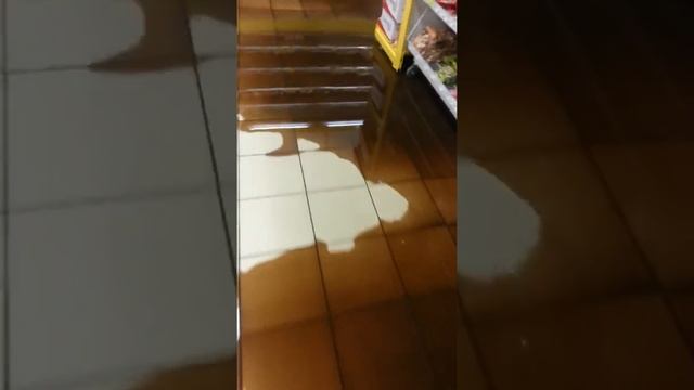 Пятерочка смотреть онлайн