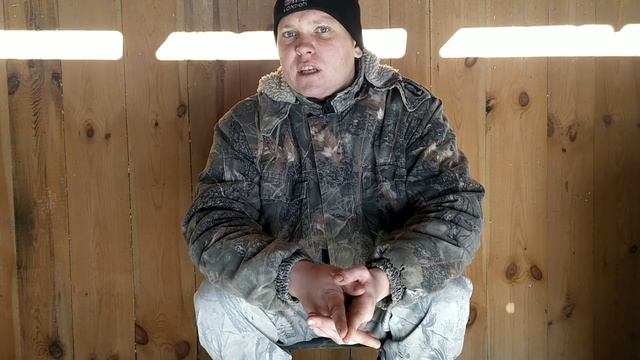 Бізнес на свинях з нуля смотреть онлайн