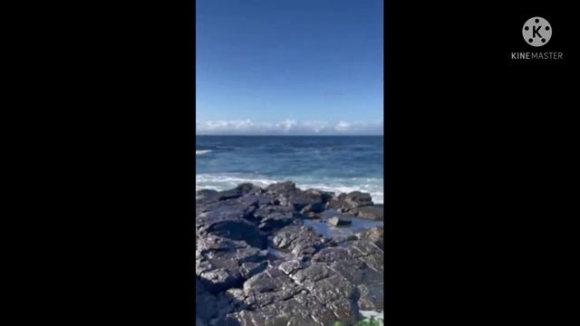 Rock Fisherman Landed 20 kls. Longtail Tuna смотреть онлайн