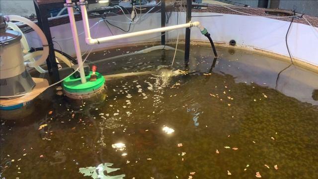 Пруд в гараже.Песочный фильтр работает и новый компрессор смотреть онлайн