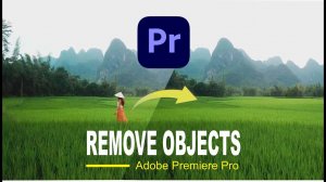 Удаление объектов с маскировкой в Adobe Premiere Pro