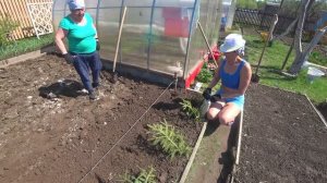 6 соток 13 - 14 мая 2021 года. Посадили картошку. Проредила огурцы..