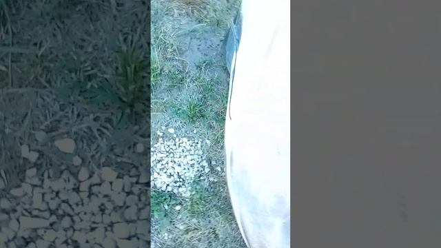2х часть @user-wi5dh4vb8v @₽#₽__просто символ и Вадим ищем его секретки рпр