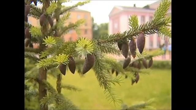 Ландшафт для дома смотреть онлайн